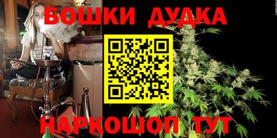 соль ск Новодвинск