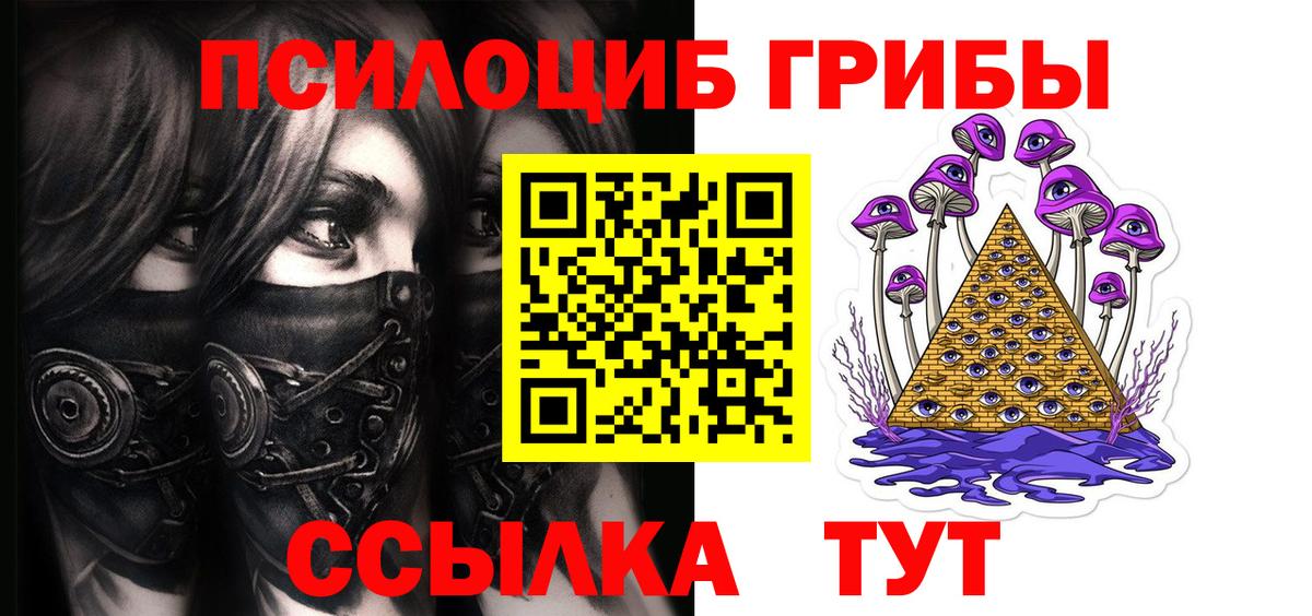 Галлюциногенные грибы GOLDEN TEACHER  Псилоцибиновые грибы GOLDEN TEACHER  Вход с VPN  Хабаровск 
